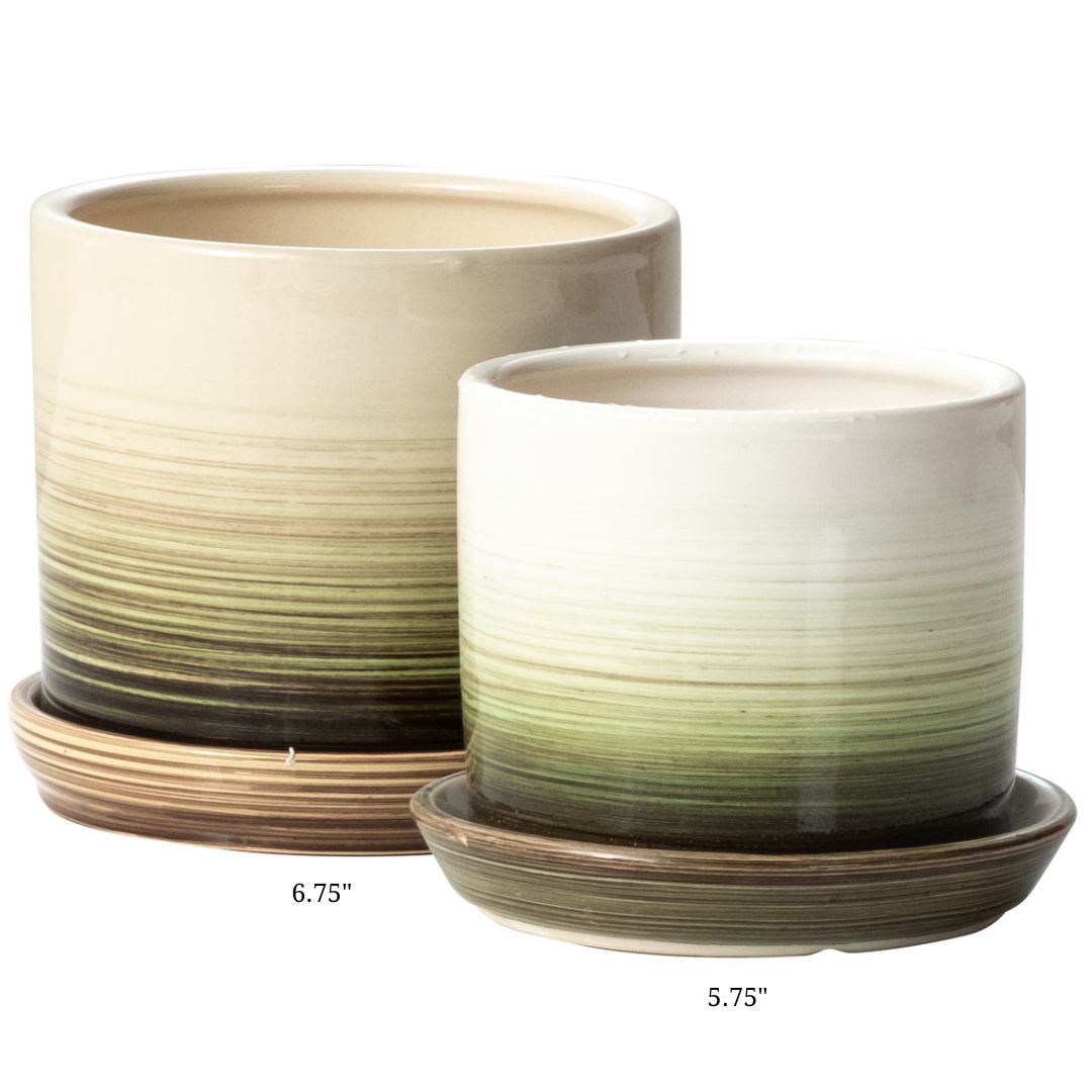 Anchor Petits Pot with Attached Saucer – Green/Brown – 5.75″